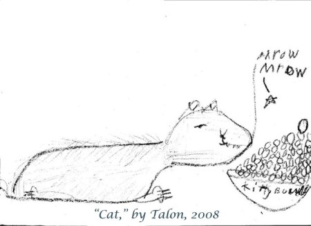 Cat, by Talon